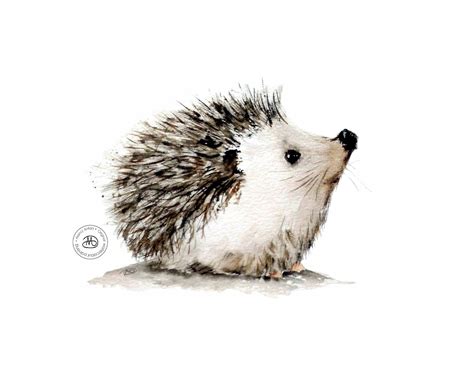 Cute and Quirky Hedgehog Print Designs for Your Home